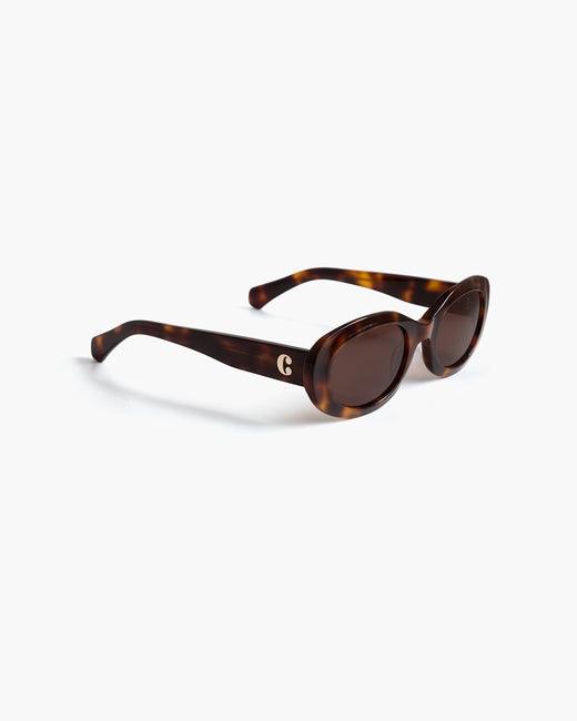 Carpi Tortoise Brown - No22 Damplassen