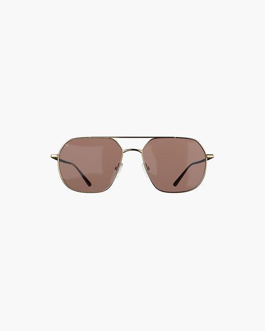 Chase Gold Brown - No22 Damplassen