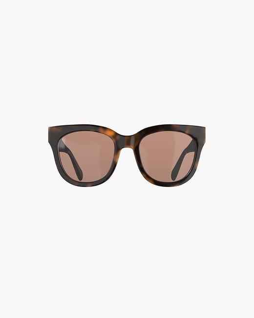 Monza Tortoise Brown - No22 Damplassen