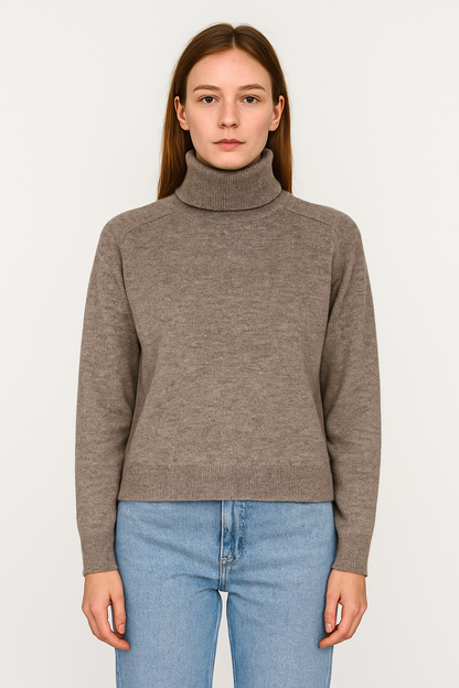 Pola Turtleneck Vison