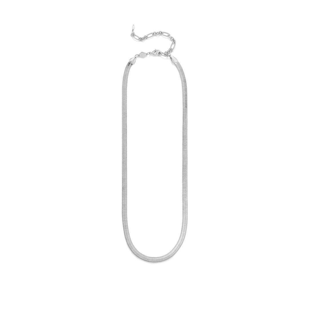 Snake Charmer Necklace Silver